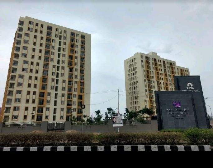  new haven golden garden Elevation