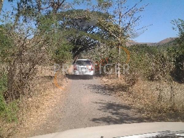 Images for Elevation of Sairung Lake View