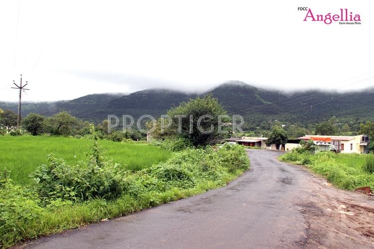 Future Development Construction Company Angellia