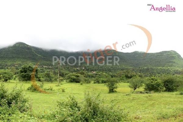 Future Development Construction Company Angellia Future Development Construction Company Angellia