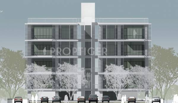  grace Olive Group Grace