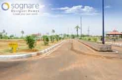  sognare Dhaatri Sognare