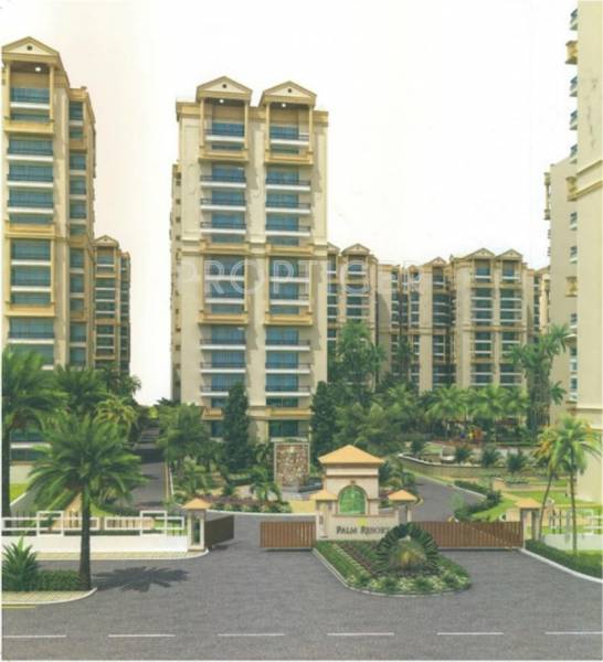 Images for Elevation of Ascent Palm Heights