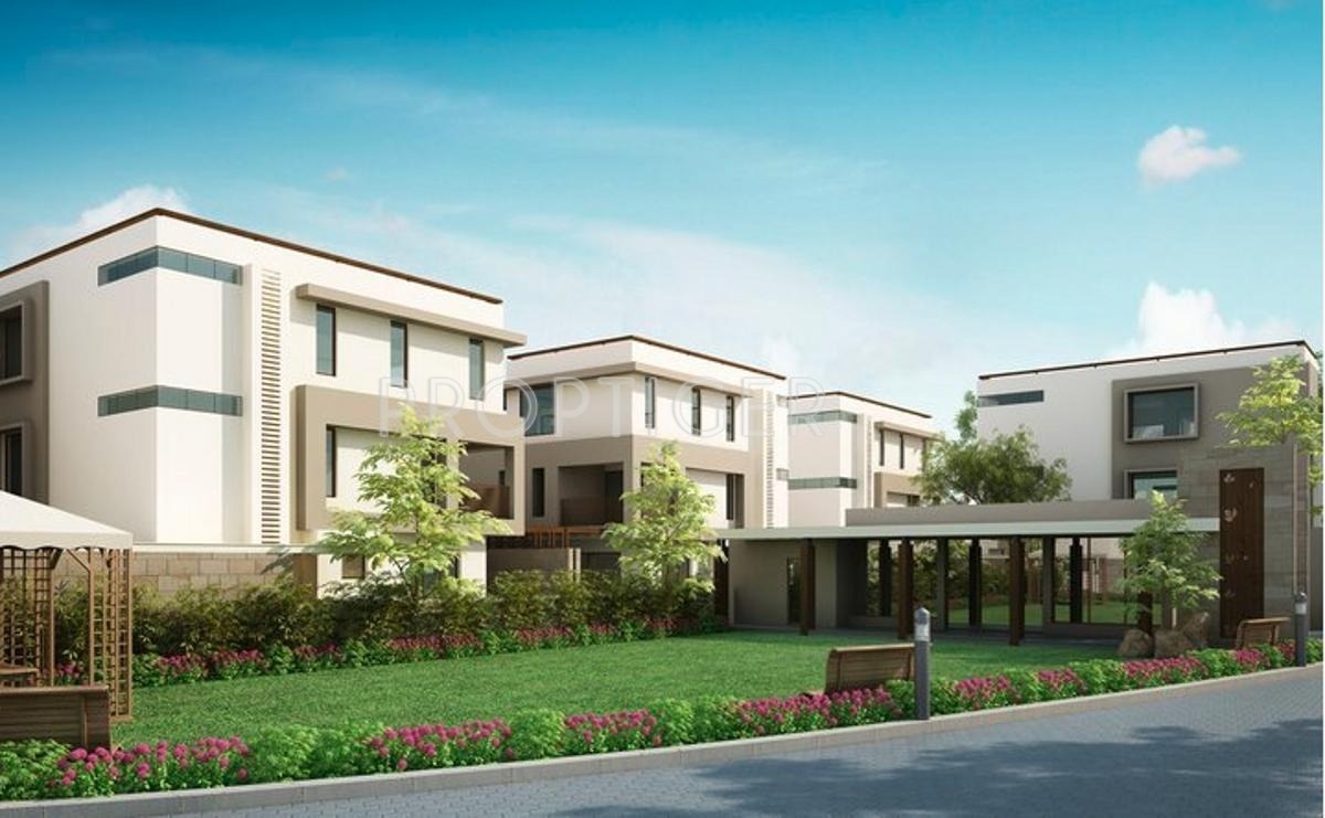 Images for Elevation of Elegance Earth Errita