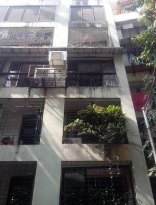 green-mansion Elevation Elevation