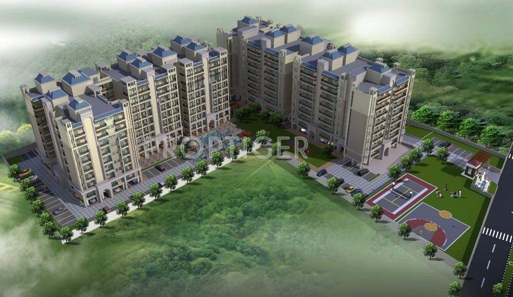 orchid Images for Elevation of Unique Orchid