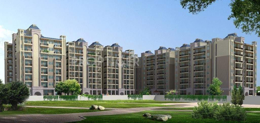 orchid Images for Elevation of Unique Orchid