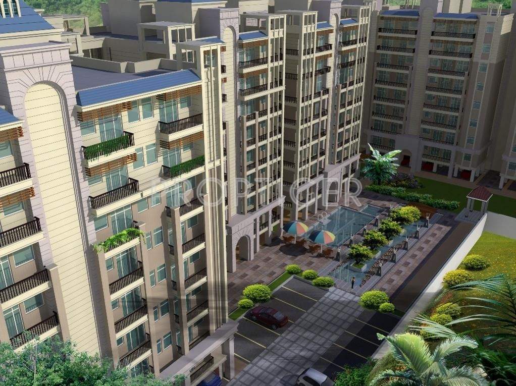 orchid Images for Elevation of Unique Orchid