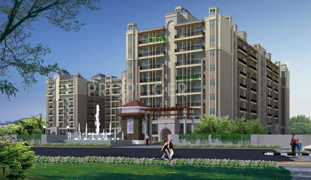 orchid Images for Elevation of Unique Orchid