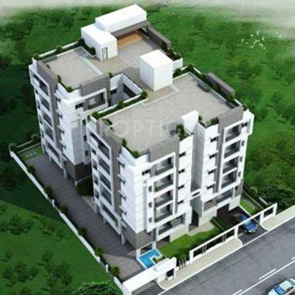 Purnima Neem neem Purnima Neem