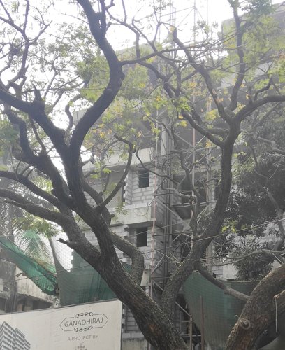 Images for Construction Status of Mishal Ganadhiraj