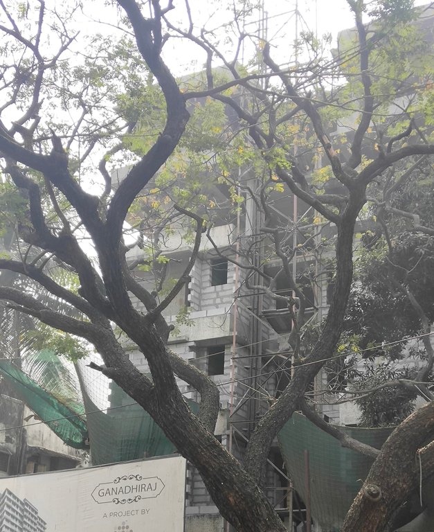 Images for Construction Status of Mishal Ganadhiraj