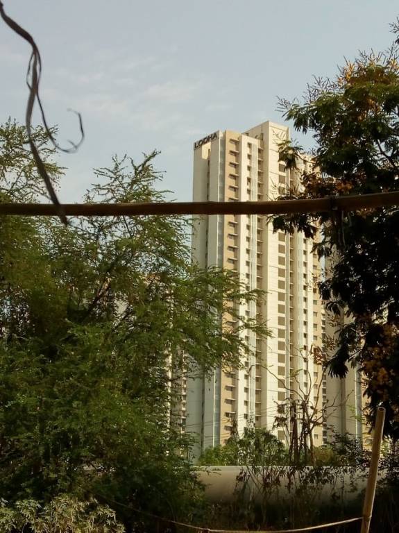  codename the ultimate Elevation