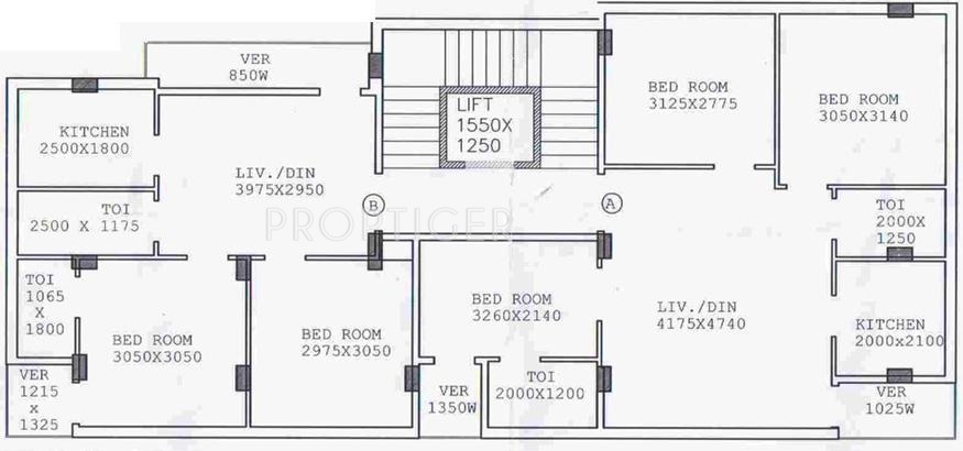 Images for Cluster Plan of Star Lily