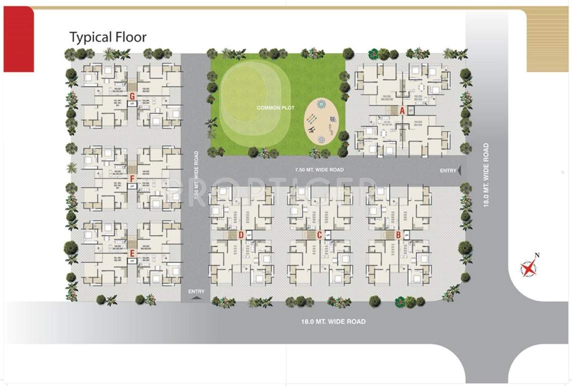  satyamev royal 3 Images for Layout Plan of Shree Gayatri Realty Satyamev Royal