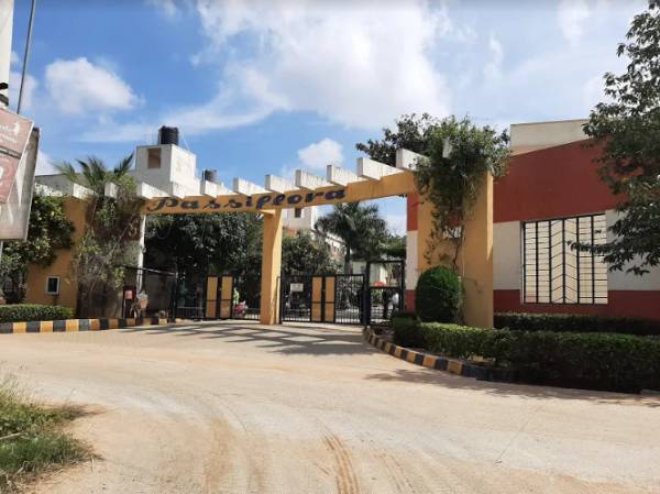 Elevation passiflora Elevation