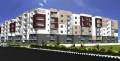 Vandana Infra Build Revivals Spring Woods