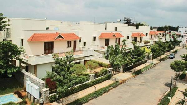 Images for Elevation of Theme Ambience Canton Images for Elevation of Theme Ambience Canton