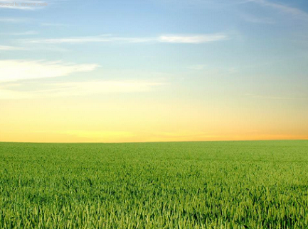 dummy Kristal Hematite