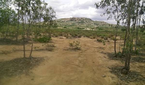  green-meadows Elevation