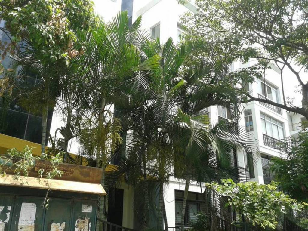 Images for Elevation of Renaissance Krishna