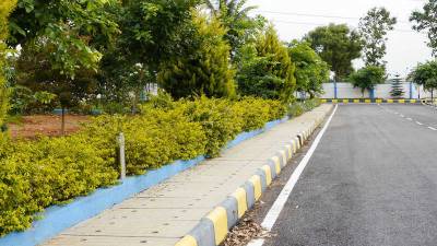  paradise-phase-1 Others