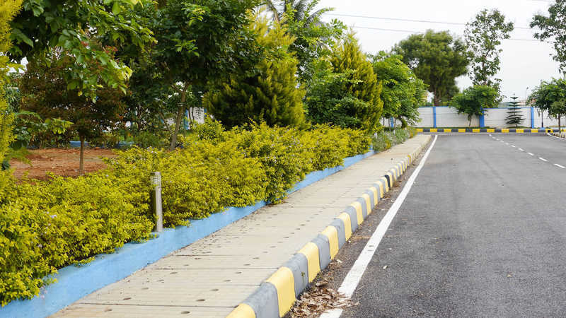 paradise phase 1 Others