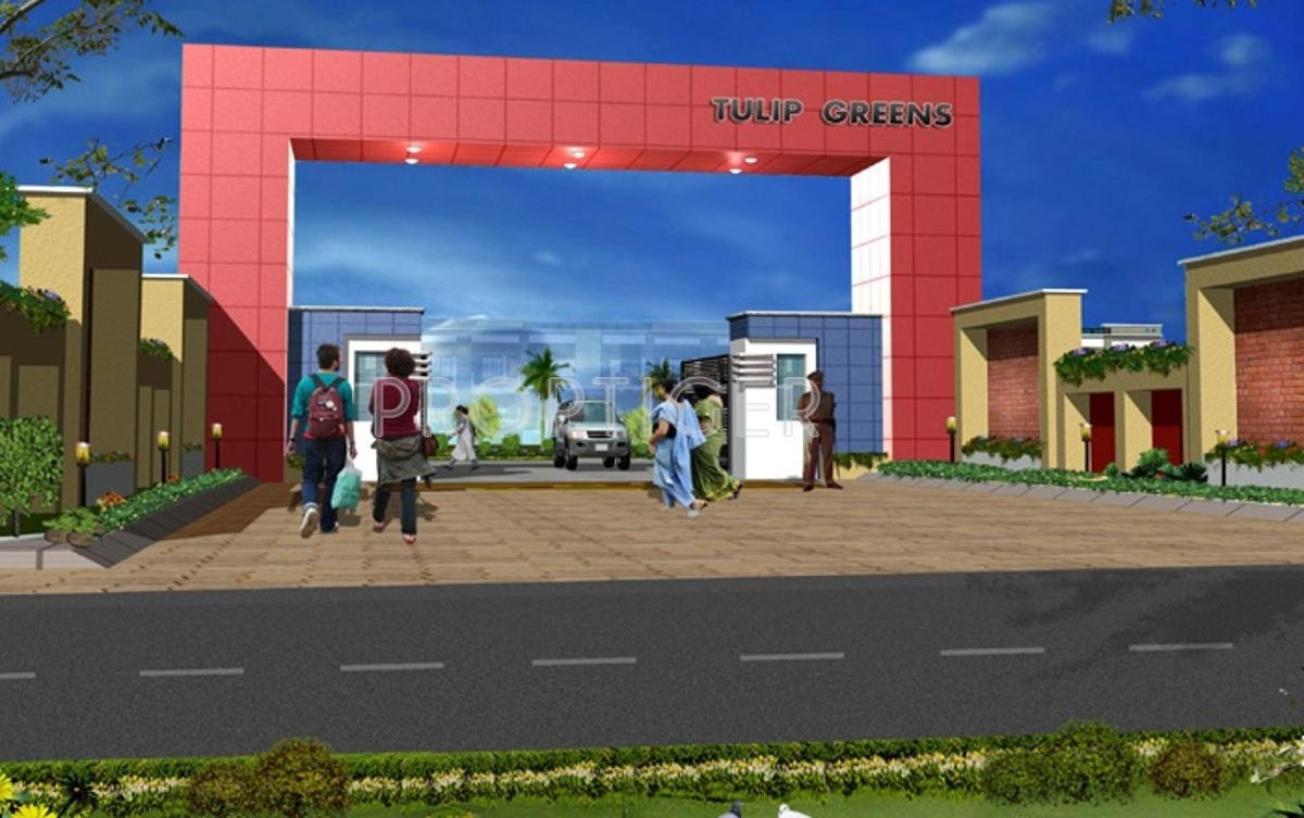 Fortune Builders Tulip Greens