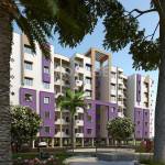 Images for Elevation of Chinarr Dream CT Images for Elevation of Chinarr Dream CT