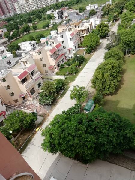  greenwoods-society Elevation