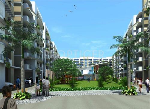 Images for Elevation of Globus Coral Woods