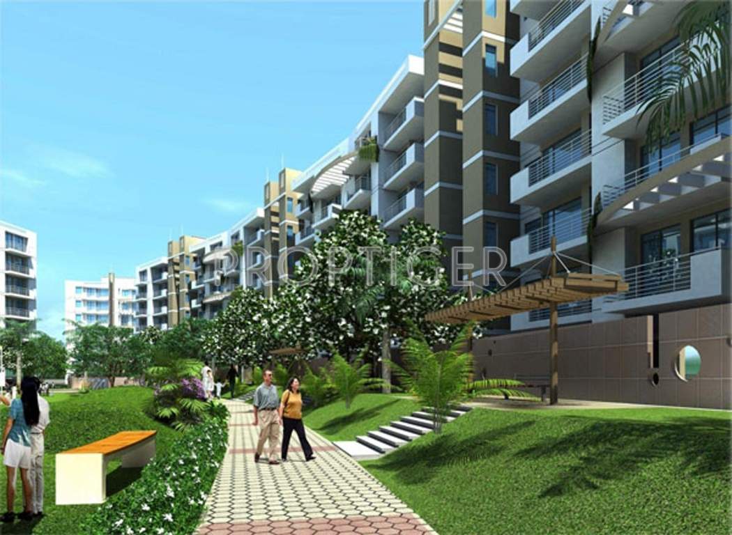 Images for Elevation of Globus Coral Woods