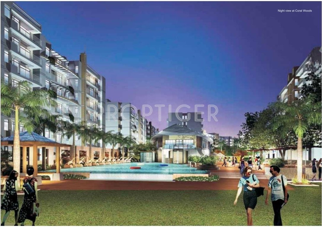 Images for Elevation of Globus Coral Woods