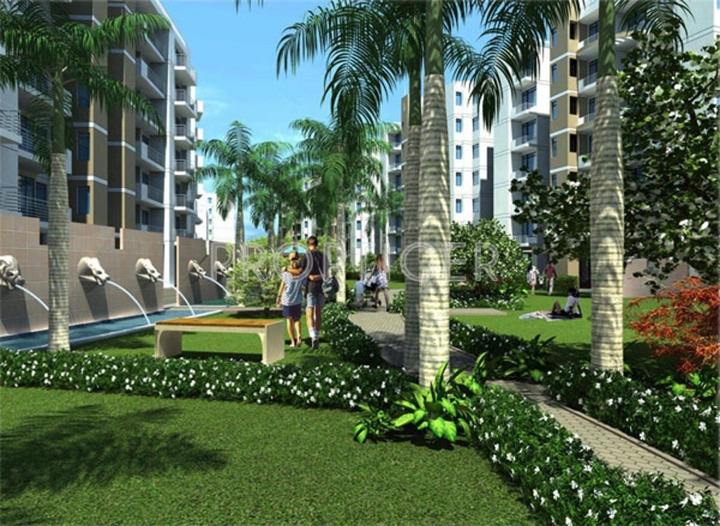 Images for Elevation of Globus Coral Woods