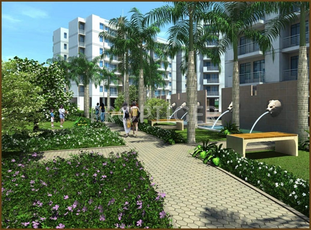 Images for Elevation of Globus Coral Woods