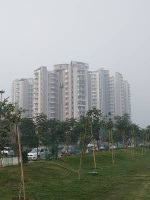 Images for Project Images for Project