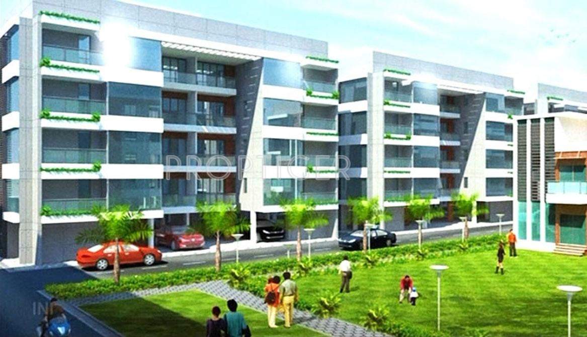 pahel Images for Elevation of Venus Venus Pahel