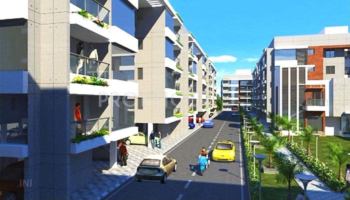 pahel Images for Elevation of Venus Venus Pahel