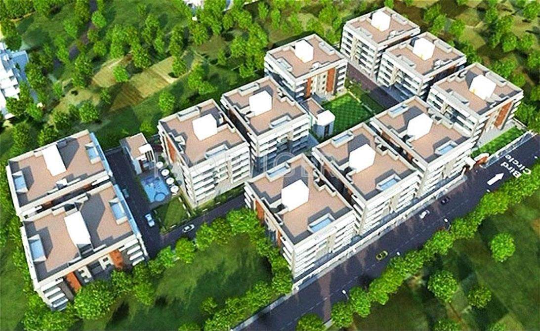 pahel Images for Elevation of Venus Venus Pahel