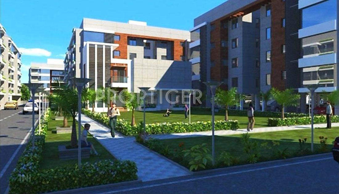 pahel Images for Elevation of Venus Venus Pahel