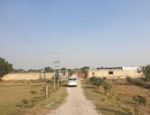 Images for Main Other of S R Daksh Modern City