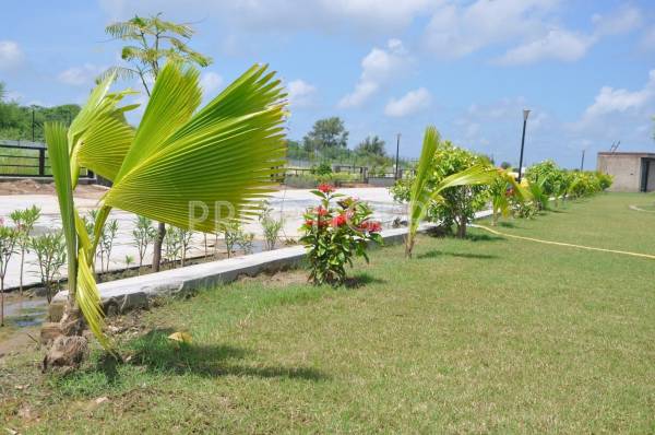  aagam-54 Aagam Group Aagam 54