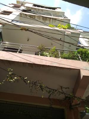  bgi-3 Images for Project