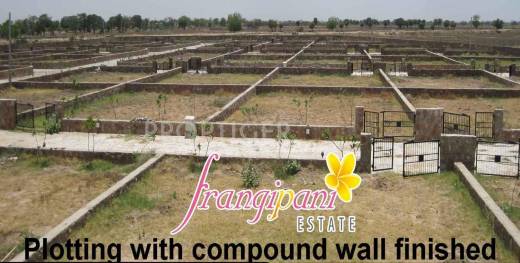 Images for Elevation of Aavkar Firangipani