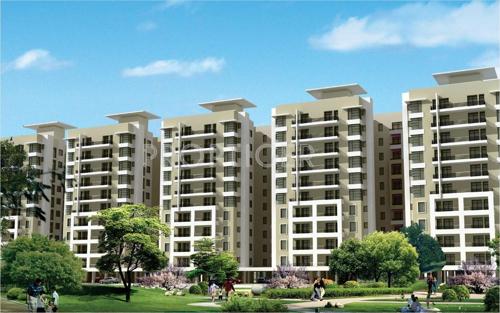 Images for Elevation of SBP Homes homes Images for Elevation of SBP Homes