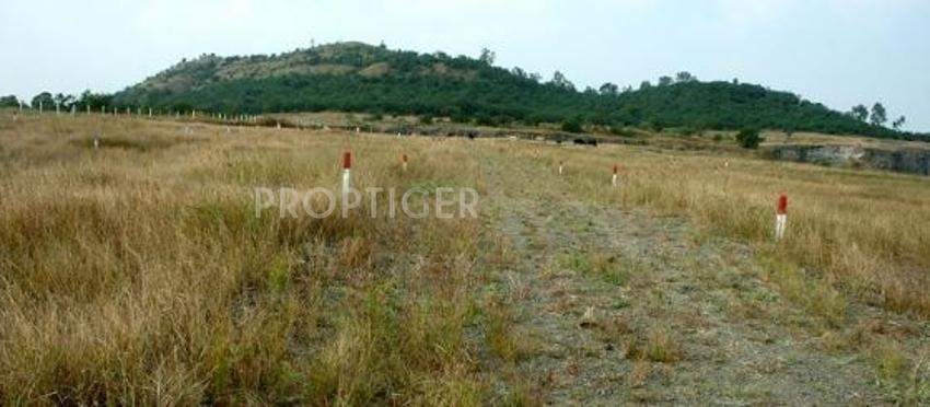 Images for Elevation of  Nature Beauty