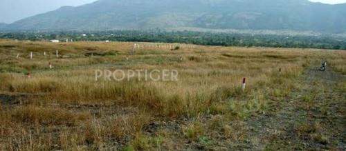 Images for Elevation of Nature Beauty Images for Elevation of Nature Beauty