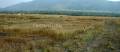 VT And Stuti Developers Nature Beauty
