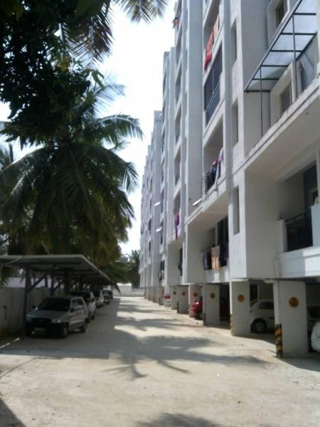 Images for Elevation of Merlin Merlin Woodlands High