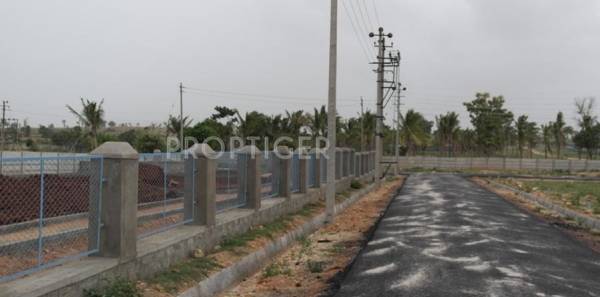 Images for Elevation of Vyasti Euphoria